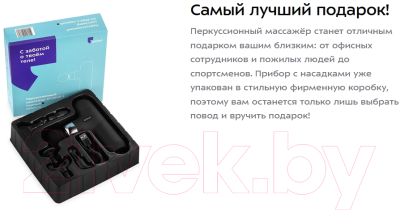 Массажный пистолет Kitfort KT-2966-1 (черный)