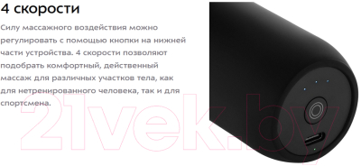 Массажный пистолет Kitfort KT-2966-1 (черный)