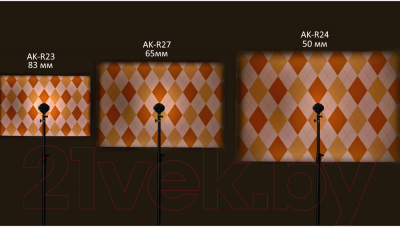 Сменный объектив для проекционной насадки Godox AK-R24 для AK-R21 / 30259