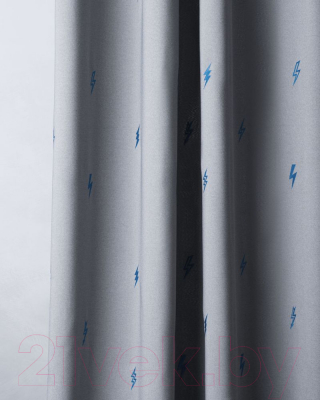 Комплект штор Pasionaria Флэш 290x230 с подхватами (серый)