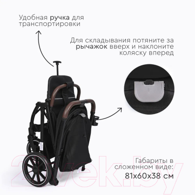 Детская прогулочная коляска Tomix Kelly / 6519 (Black)