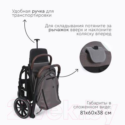 Детская прогулочная коляска Tomix Kelly / 6519 (Dark Grey)