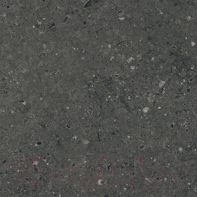 Плитка Гранитея Аркаим черный MR (600x600)