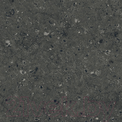 Плитка Гранитея Аркаим черный MR (600x600)