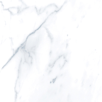 Плитка Гранитея Пайер серый MR (600x600) - 