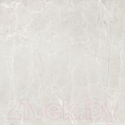 Плитка Гранитея Увильды серый MR (600x600)
