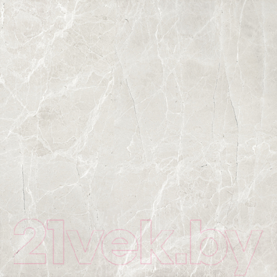 Плитка Гранитея Увильды серый MR (600x600)