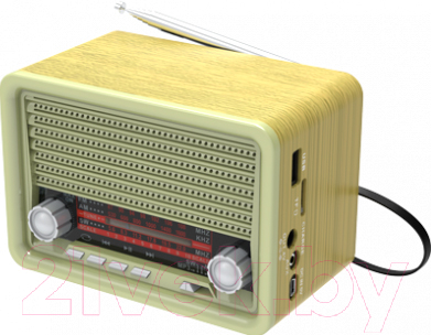 Радиоприемник Ritmix RPR-030 (золото)