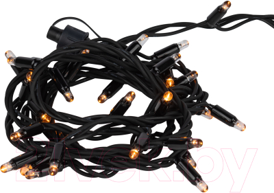 Изображение товара Светодиодная гирлянда ЭРА ERAPS-NZ1 / Б0060543