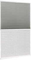Штора-плиссе Delfa Basic Uni СПШ-3111/1102 Basic Transparent (43x160, серый/белый) - 