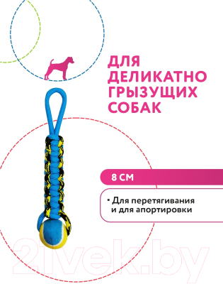 Игрушка для собак Pet Park Плетенка с теннисным мячом и петлей / WB20342