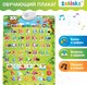 Развивающий плакат Zabiaka ZOO азбука / 9302878 - 