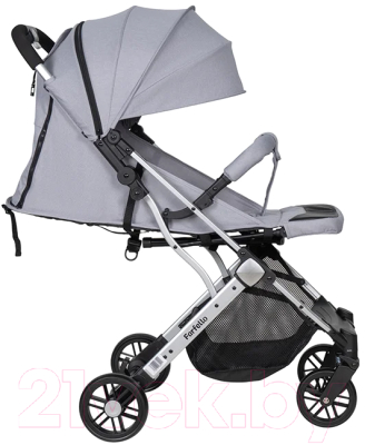 Детская прогулочная коляска Farfello Comfy Go / CG (платиновый/серый)