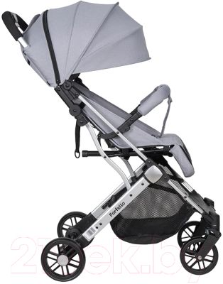 Детская прогулочная коляска Farfello Comfy Go / CG (платиновый/серый)