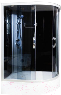 Душевая кабина Водный мир ВМ-8824 L 80x120 (черный/тонированное стекло)