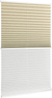 Штора-плиссе Delfa Basic Walnut СПШ-3405/1102 Basic Transparent (52x160, бежевый/белый) - 