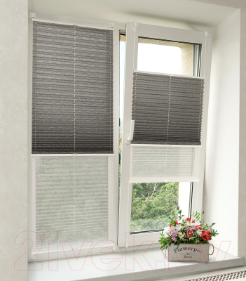 Изображение товара Штора-плиссе Delfa Basic Walnut СПШ-3401/1102 Basic Transparent (62x160, антрацит/белый)