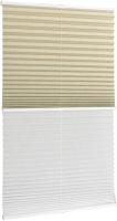 Штора-плиссе Delfa Walnut СПШ-3405/3504 Basic Transparent (34x160, бежевый/белый) - 