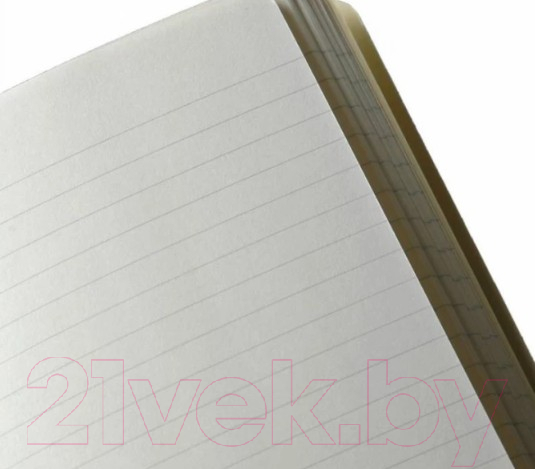 Записная книжка Moleskine Classic Large QP060