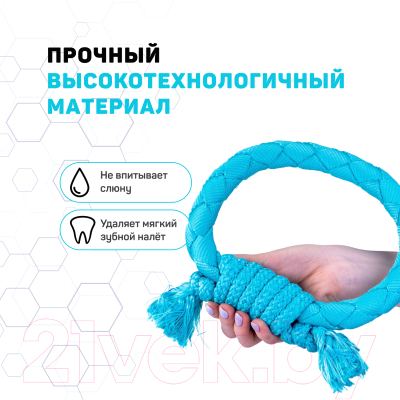 Игрушка для собак Playology Dri-Tech Ring / P33299 (с ароматом арахиса, голубой)