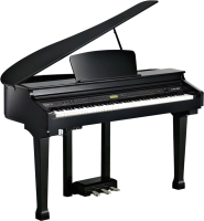Цифровой рояль Kurzweil KAG100 EP (черный) - 