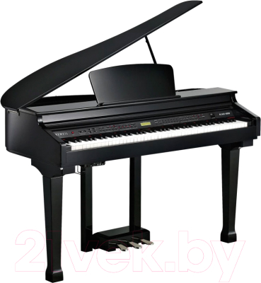 Цифровой рояль Kurzweil KAG100 EP (черный)