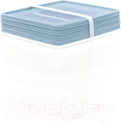 Набор контейнеров Полесье №13 2л с крышками / 73706 (4шт, прозрачный/серо-голубой)