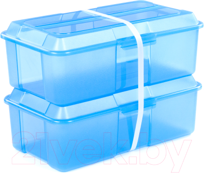 Набор контейнеров Полесье №27 5л с крышками / 73720 (2шт, прозрачно-синий)