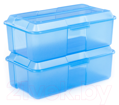 Набор контейнеров Полесье №27 5л с крышками / 73720 (2шт, прозрачно-синий)