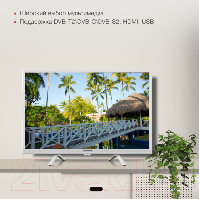 Телевизор StarWind SW-LED24SG312 (белый)
