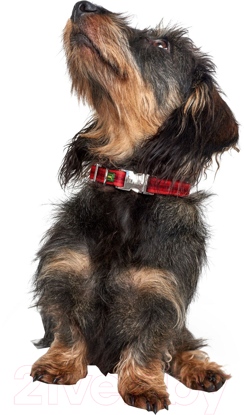 Ошейник HUNTER Collar Davao Alu-Strong / 65487 (30-45/M, красный) — фото 2