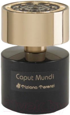 Парфюмерная вода Tiziana Terenzi Caput Mundi Parfum (100мл)