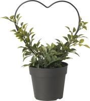 Искусственное растение Ikea Винтерфинт 305.621.45 - 