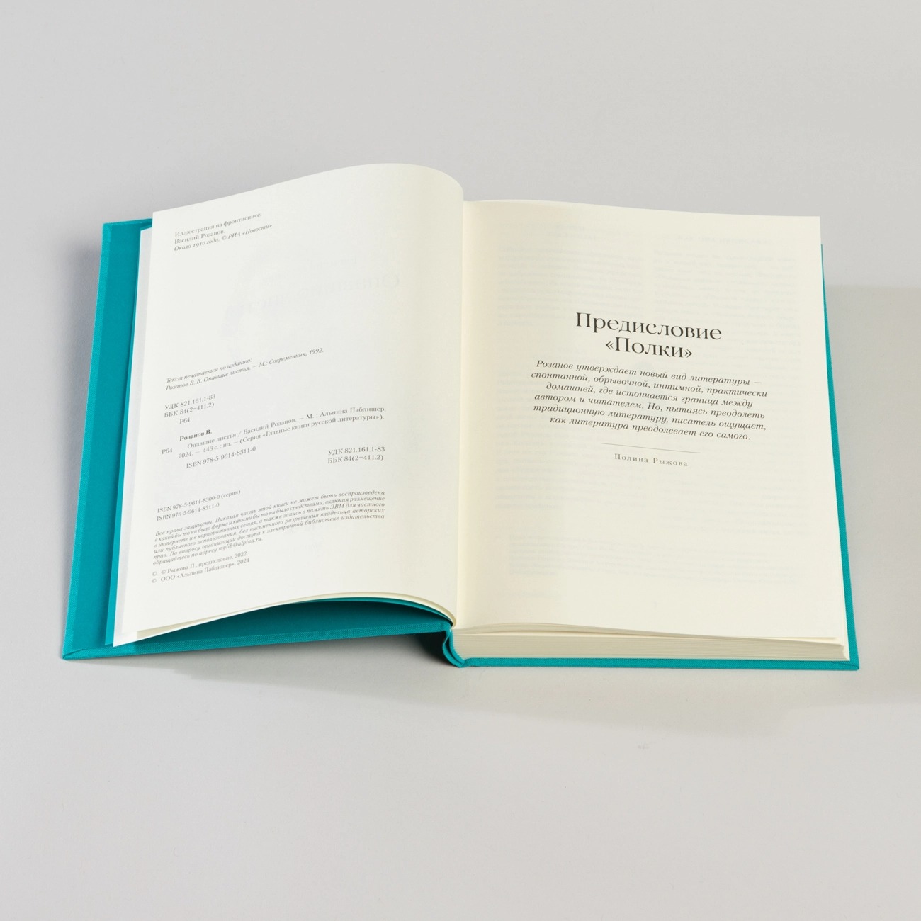 Художественная книга Альпина Опавшие листья твердая обложка (Розанов Василий) — фото 4
