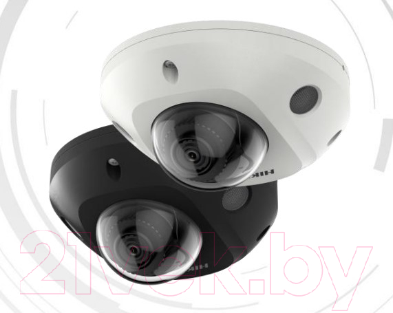 IP-камера Hikvision DS-2CD2543G2-IWS