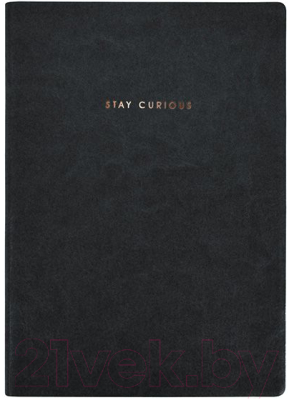 Записная книжка Lorex Stay Curious Stylish Collection / LXNBB6-NP3 (96л, черный)