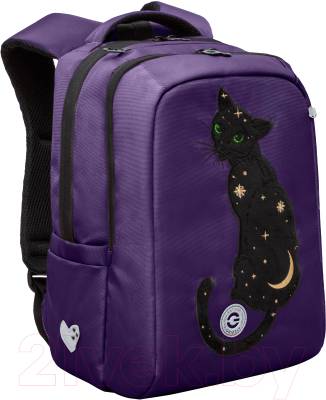 Рюкзак Grizzly RG-466-6 (фиолетовый)