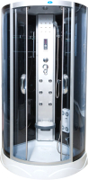 Душевая кабина Водный мир ВМ-8315 100x100 (черный/тонированное стекло) - 