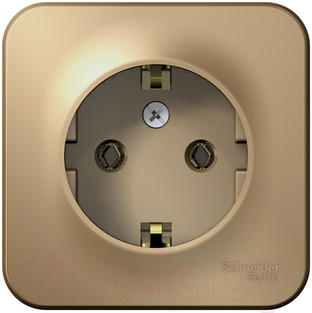 Розетка Systeme (Schneider) Electric Blanca BLNRA010114 — фото 1