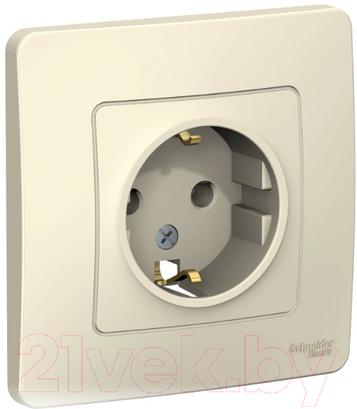Розетка Systeme (Schneider) Electric Blanca BLNRS001012
