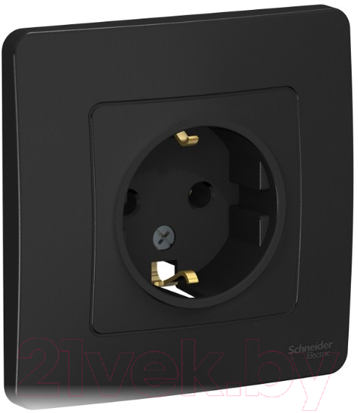 Розетка Systeme (Schneider) Electric Blanca BLNRS001016