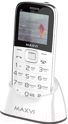 Мобильный телефон Maxvi B6 (белый)