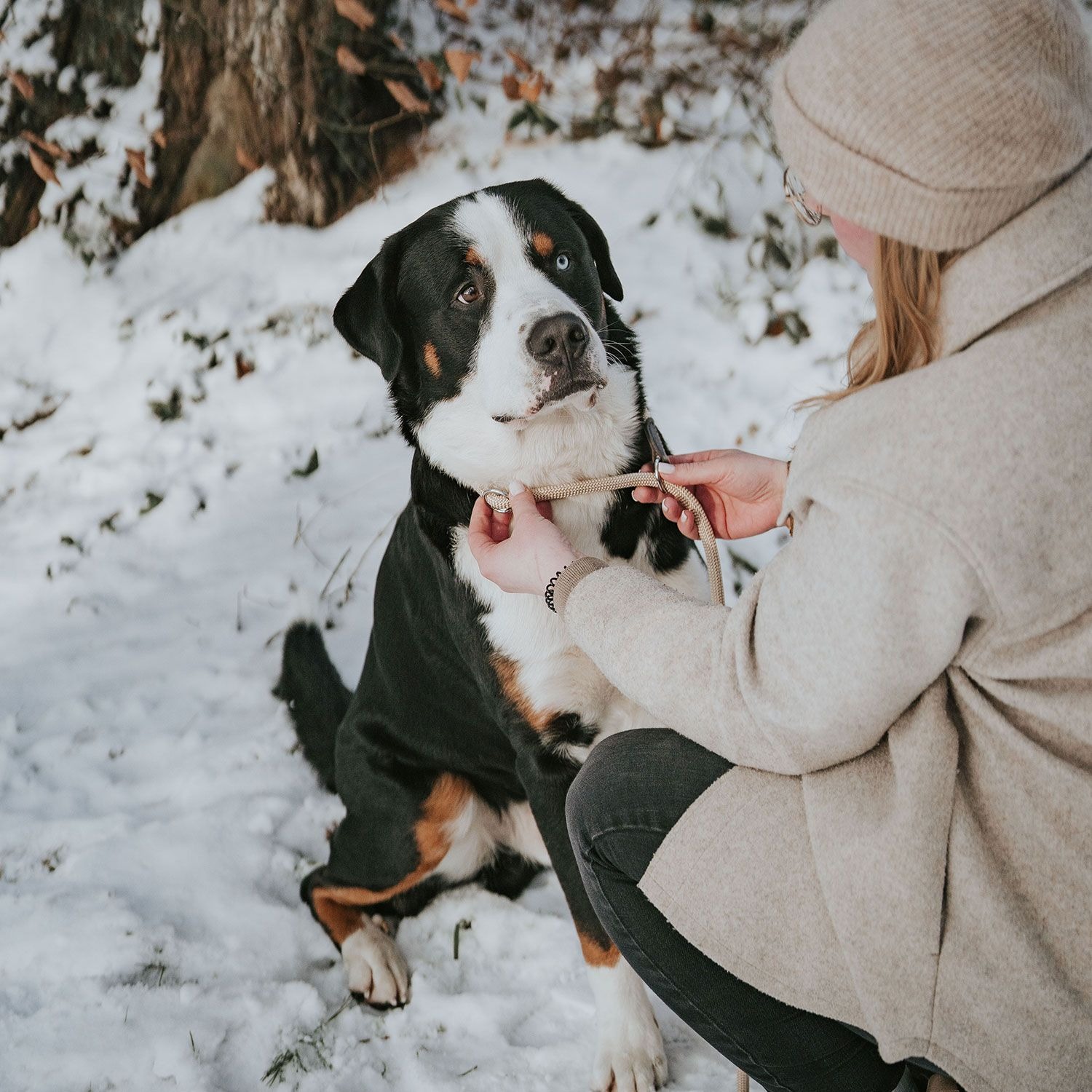 Поводок HUNTER Leash Retriever Freestyle 8/170 / 46499 (бежевый) — фото 4
