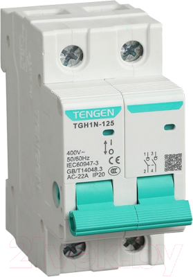 Выключатель нагрузки Tengen TGH1N-125 2P 32A 2M / TEN340012