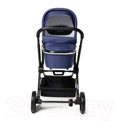 Детская универсальная коляска Labala Raiz 2 в 1 2021 / LC2101-03BLU (Blue)