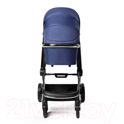 Детская универсальная коляска Labala Raiz 2 в 1 2021 / LC2101-03BLU (Blue)