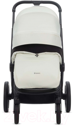 Детская универсальная коляска Labala Raiz 2 в 1 2023 / LC2301-04WHBL (White/Black)