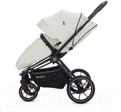 Детская универсальная коляска Labala Raiz 2 в 1 2023 / LC2301-04WHBL (White/Black)
