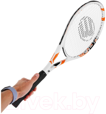 Теннисная ракетка Boshika Advanced / 9412608 (графит)