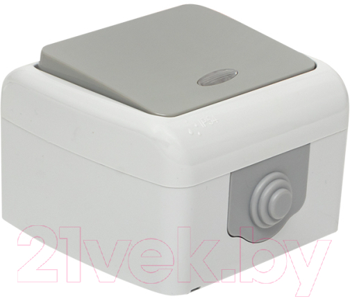 Выключатель EKF Мурманск 1кл 10А IP54 / EFV10-121-30-54 (серый) — фото 4